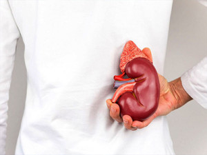 nephrology-hospital-thrissur