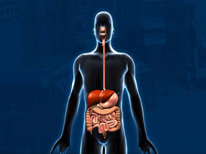 best-gastroenterology-hospitals-thrissur